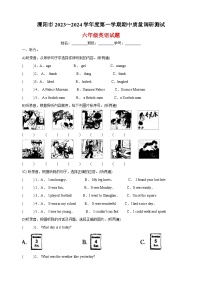 2023-2024学年常州市溧阳市六年级上册期中质量调研测试英语试卷（含答案解析）