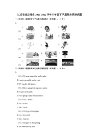 江苏省连云港市2021-2022学年六年级下学期期末英语试题+