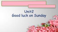 英语2AUnit 2 Good luck on Sunday图文课件ppt