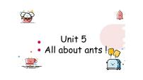 小学英语新概念英语（青少版）2AUnit 5 All about ants!图文课件ppt