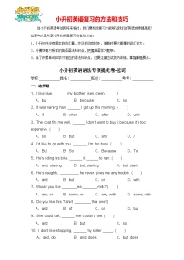 小升初英语语法专项提优卷-冠词（全国通用版）