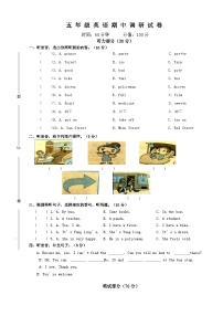 期中测试卷（试题）-2023-2024学年译林版（三起）英语五年级下册