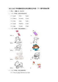 2022-2023学年湖南省怀化市沅陵县五年级下学期期中英语试卷（含答案）