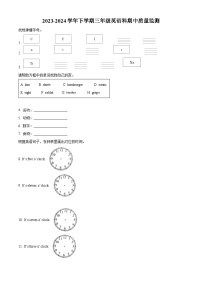 2023-2024学年福建省福州市罗源县闽教版三年级下册期中质量检测英语试卷（原卷版+解析版）