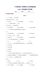 Unit5 单项选择专项训练-2023-2024学年译林版六年级英语上学期单元专项突破训练