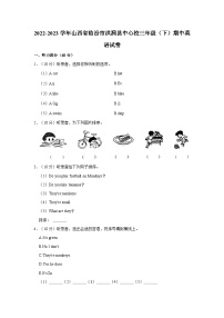 2022-2023学年山西省临汾市洪洞县中心校三年级（下）期中英语试卷