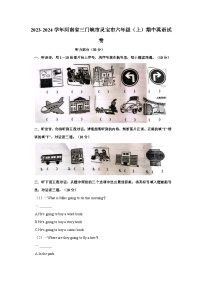 2023-2024学年河南省三门峡市灵宝市六年级（上）期中英语试卷