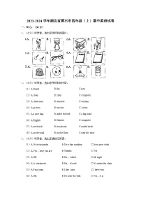 2023-2024学年湖北省黄石市四年级（上）期中英语试卷