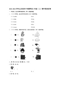 2023-2024学年山东省济宁市嘉祥县三年级（上）期中英语试卷