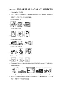 2022-2023学年山东省青岛市胶州市六年级下学期期中英语试卷（含答案）