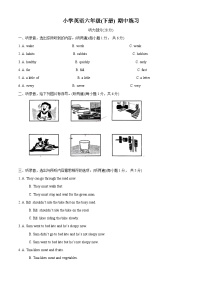 2023-2024学年江苏省南京市江宁区译林版（三起）六年级下册期中练习英语试卷（原卷版+解析版）