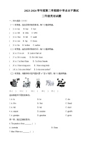 2023-2024学年山东省济宁市嘉祥县人教PEP版三年级下册期中质量检测英语试卷（原卷版+解析版）