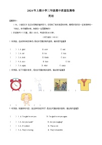 2023-2024学年湖南省怀化市通道县湘少版（三起）三年级下册期中质量监测卷英语试卷（原卷版+解析版）