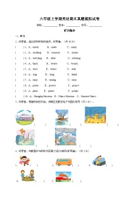 苏教译林版六年级上学期英语期末真题模拟试卷（含答案解析）