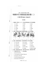 海南省海口市2023-2024学年六年级下学期4月期中英语试题