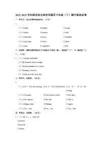 2022-2023学年陕西省宝鸡市凤翔区六年级下学期期中英语试卷（含答案）