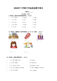 湖南省长沙市宁乡市西部乡镇2023-2024学年六年级下学期4月期中英语试题