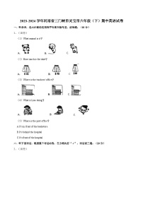 2023-2024学年河南省三门峡市灵宝市六年级（下）期中英语试卷