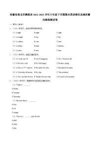 安徽省淮北市濉溪县2022-2023学年六年级下学期期末英语绿色发展质量均衡检测试卷（含答案）