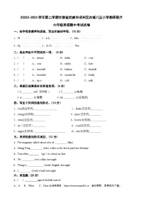 甘肃省武威市凉州区古城八五小学教研联片2023-2024学年六年级下学期5月期中英语试题