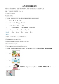 2023-2024学年江苏省盐城市盐都区神州路小学教育集团译林版(三起)六年级下册期中随堂练习英语试卷