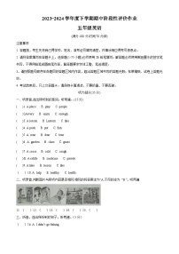 2023-2024学年山东省济南市钢城区鲁科版（五四学制）（三起）五年级下册期中阶段性评价英语试卷（原卷版+解析版）