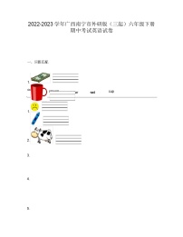 2022-2023 学年广西南宁市外研版（三起）六年级下册 期中考试英语试卷