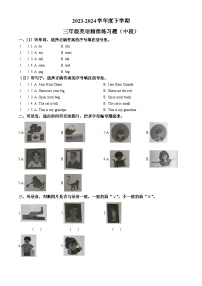 2023-2024学年广东省东莞市人教PEP版三年级下册期中精准练习英语试卷