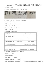 53，2023-2024学年河北省保定市蠡县冀教版（三起）六年级下册期中质量检测英语试卷