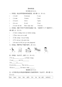 期末测试卷（试题）2023-2024学年译林版（三起）英语四年级下册
