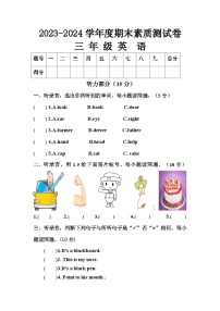 期末素质测试卷（试题）-2023-2024学年外研版（三起）英语三年级上册