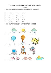 2022-2023学年河南省洛阳市外研版（三起）六年级下册期末质量检测英语试卷