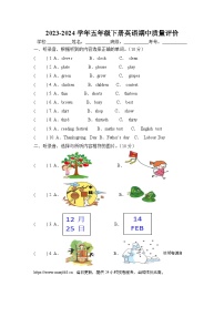 广东省梅州市蕉岭县文福五校2023-2024学年五年级下学期4月期中英语试题