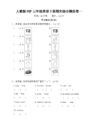 期末综合模拟卷（试题）-2023-2024学年人教PEP版英语三年级下册