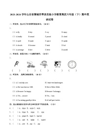 山东省聊城市莘县实验小学教育集团2023-2024学年六年级下学期期中英语试题