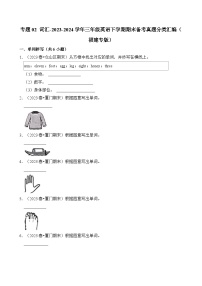 专题02 词汇-2023-2024学年三年级英语下学期期末备考真题分类汇编（福建专版）