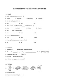 小升初模拟测试卷-小学英语六年级下册人教精通版