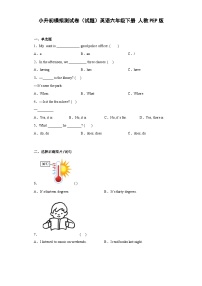 小升初模拟测试卷（试题）英语（人教PEP版）（1）