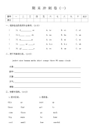 期末+（试题）+-2023-2024学年人教PEP版英语四年级下册.3