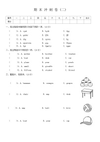 期末冲刺卷（试题）-2023-2024学年人教PEP版英语三年级下册.1