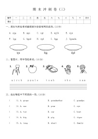 期末冲刺卷（试题）-2023-2024学年人教PEP版英语三年级下册