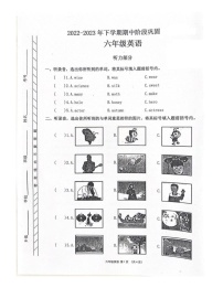 河南省许昌市长葛市2022-2023学年六年级下学期期中英语试题