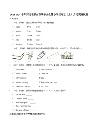 河北省邢台市平乡县北牌小学2023-2024学年三年级上学期月考英语试卷