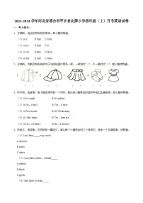 河北省邢台市平乡县北牌小学2023-2024学年四年级上学期月考英语试卷