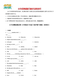 小升初模拟测试卷-小学英语六年级下册沪教牛津版（深圳用）