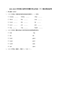 浙江省绍兴市嵊州市2022-2023学年五年级下学期期末英语试卷