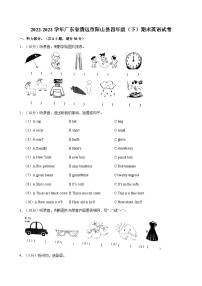 广东省清远市阳山县2022-2023学年四年级下学期期末英语试卷