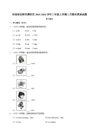 河南省信阳市浉河区2023-2024学年三年级上学期1月期末英语试题（含答案）