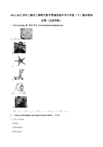 2021-2022学年上海市上海师大附中青浦实验中学六年级下学期期末英语试卷（五四学制）