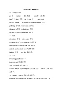 【期末复习】人教版PEP小学英语六年级下册Unit 3单元知识梳理（2）（讲义）